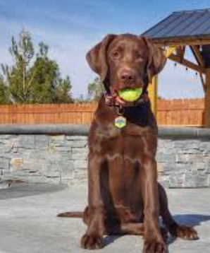 Review by James T. | Manchester, UK