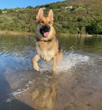 Review by Emma L. | Lyon, France