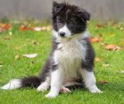 Review by Marco R. | Madrid, Spain