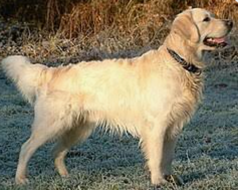 Review by Sophie M. | Berlin, Germany