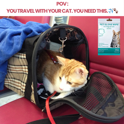 Luna Grooming Glove Wipes