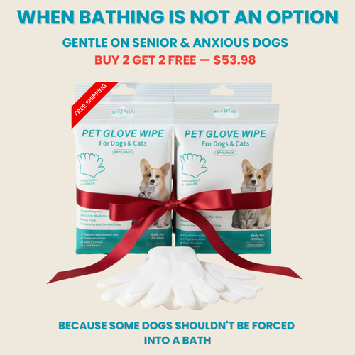 Glove Wipes