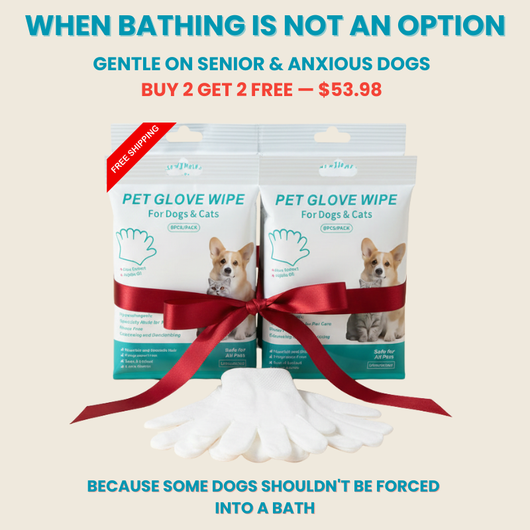 Glove Wipes
