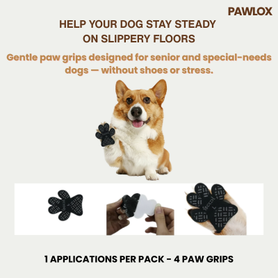 Gentle Paw Grips for Senior & Special-Needs Dogs