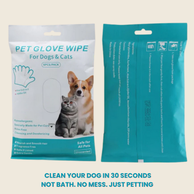 Glove Wipes