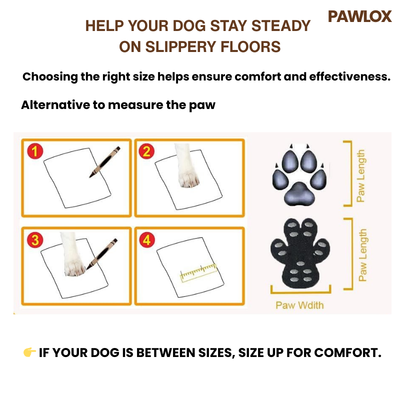 Gentle Paw Grips for Senior & Special-Needs Dogs