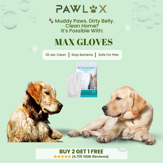 Max Grooming Glove Wipes